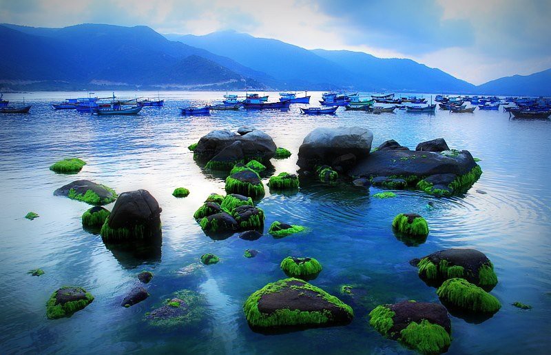 Bí kíp du lịch trên đảo "sống ảo" Bình Hưng